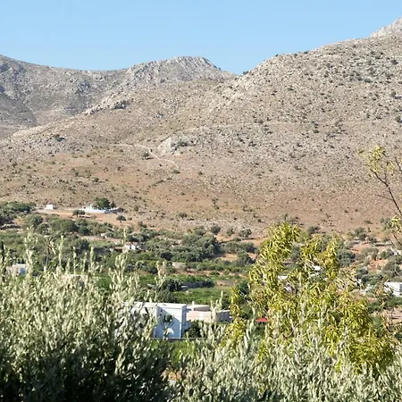 Garden In Vathy