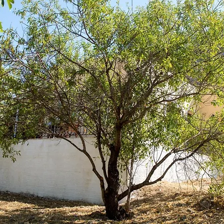 Holiday home Garden In Vathy