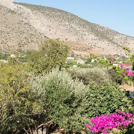Garden In Vathy *